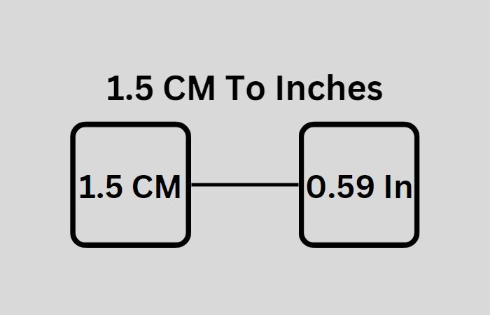 1.5 cm to inches