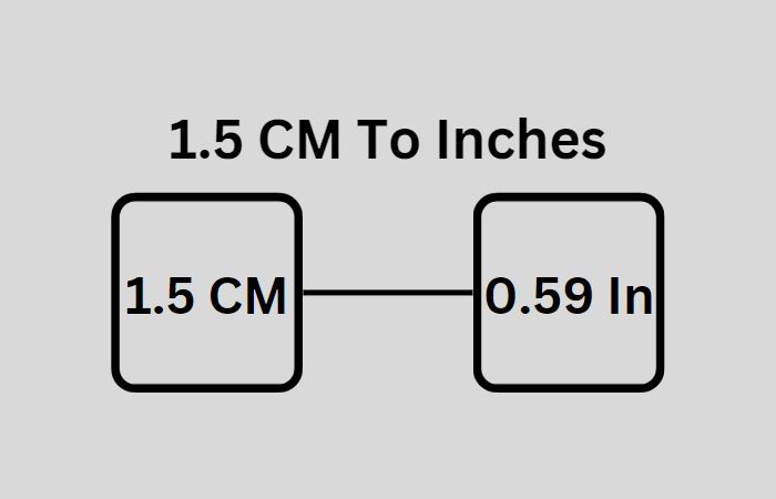 CM TO INCHES CONVERTER