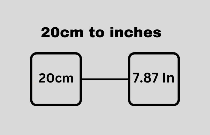 20 cm to inches