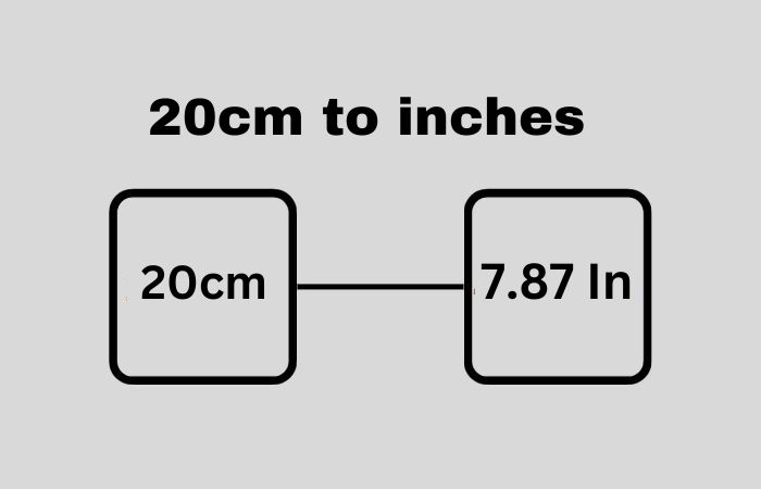 How Big Is 20cm X 20 Cm